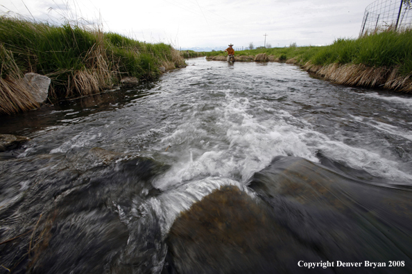 Flyfisherman fishing spring creek.