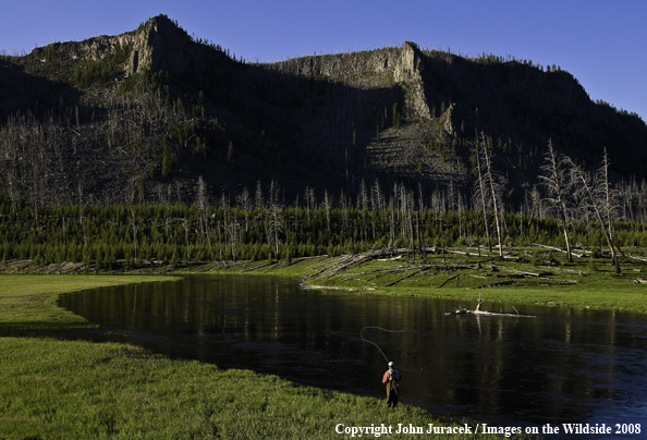 Freshwater Flyfishing