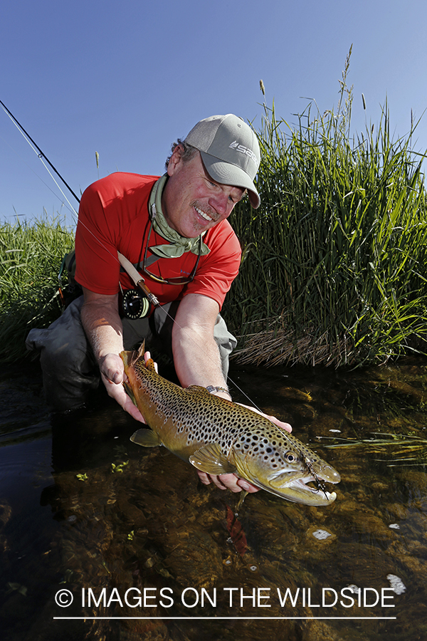 Flyfisherman with brown trout. 