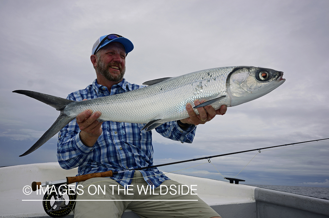 Flyfisherman with milkfish.