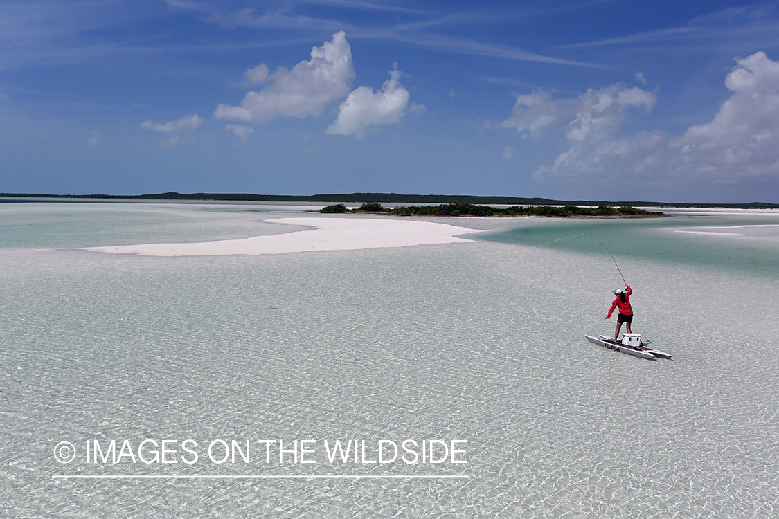 Saltwater flyfishing woman on paddle board casting line on flats.