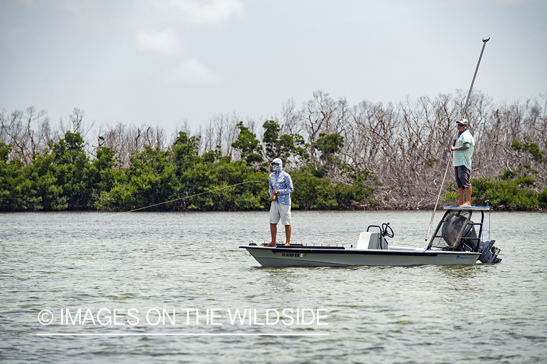 Flyfisherman fighting bonefish.