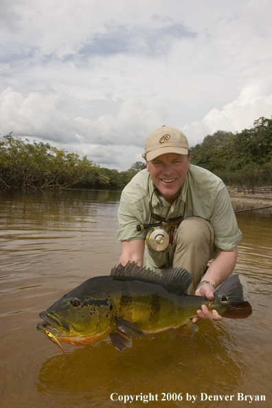 Fisherman holding Peacock Bass