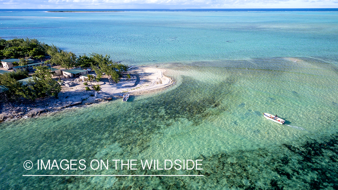 Drone aerial shot of St. Brandon's Atoll Flats.