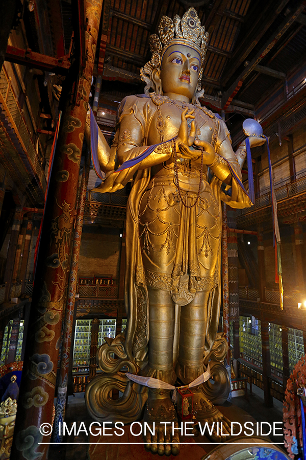 Buddhist statue in monastery, Ulaanbaater, Mongolia. (97' tall)