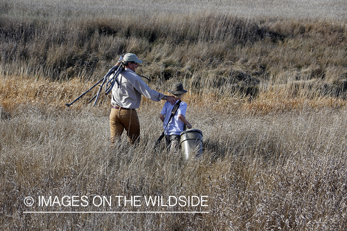 Father and son waterfowl hunters building blind.