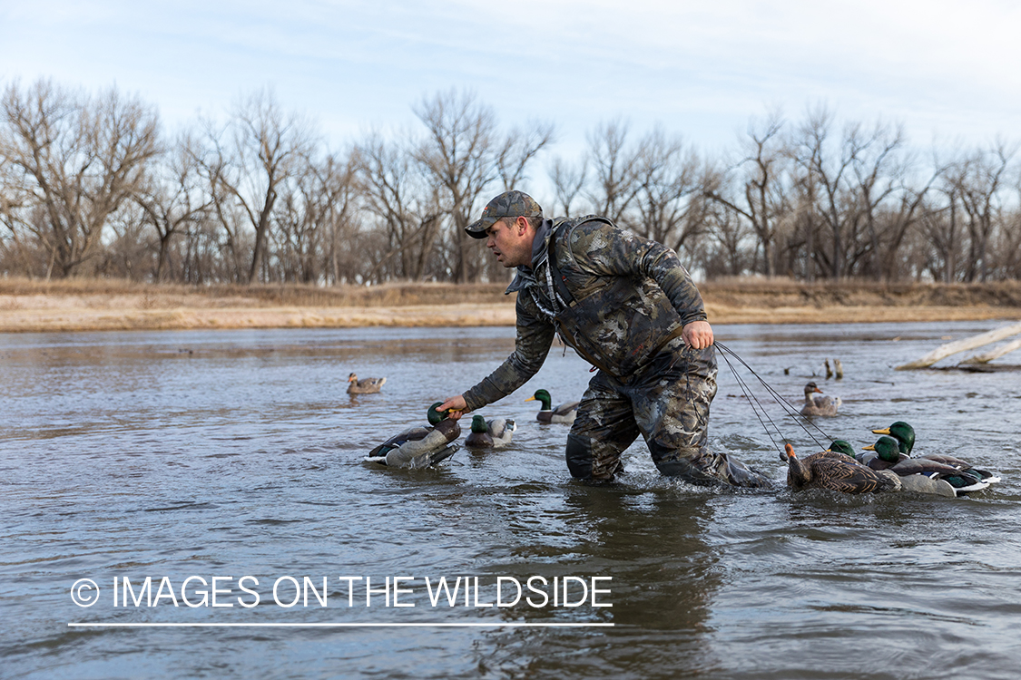 Waterfowl hunting