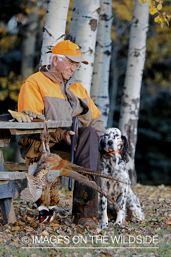 Hunter with English Setter in autumn.