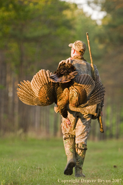 Turkey hunter in field with bagged bird