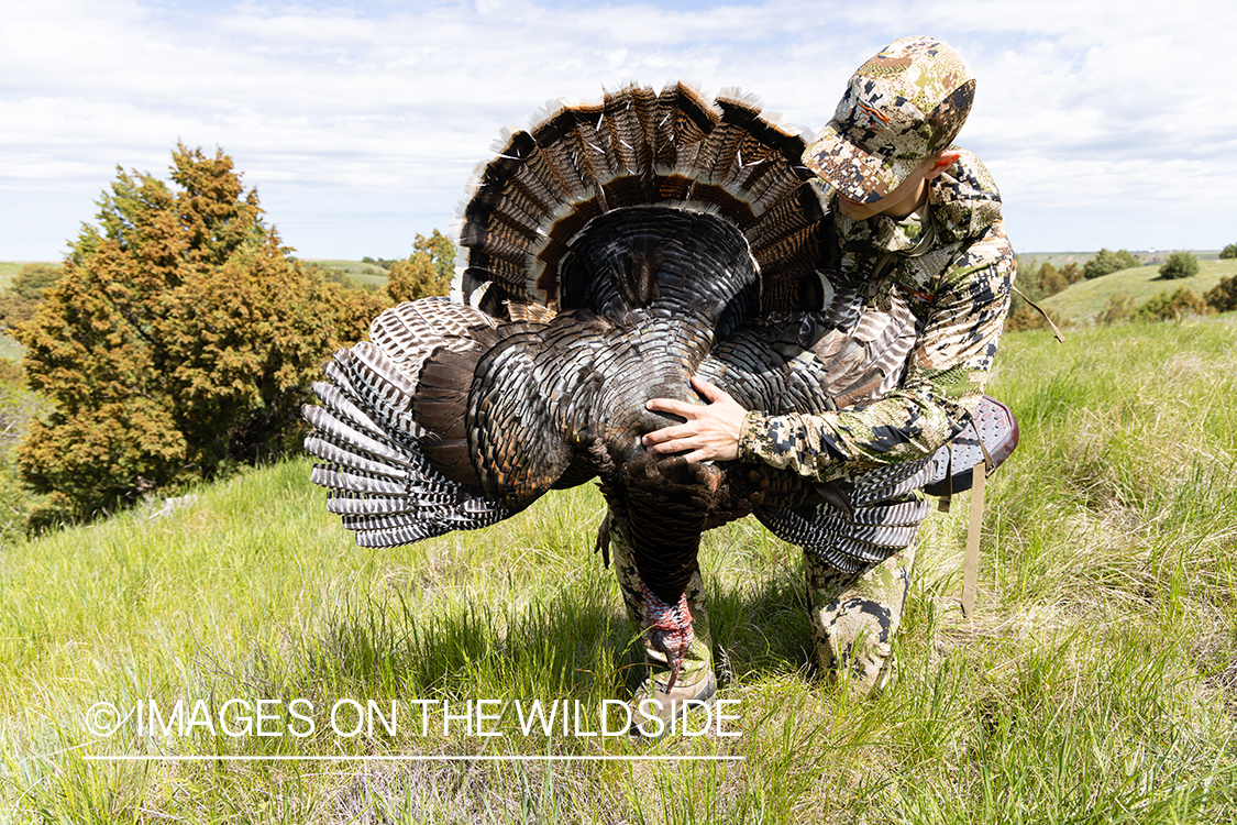 Hunter with bagged turkey.