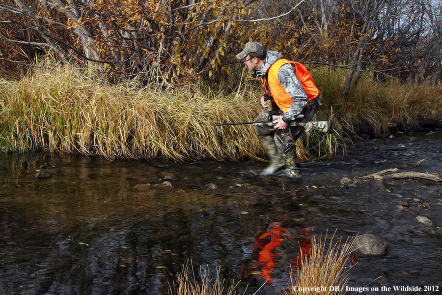 Hunter tracking moose.