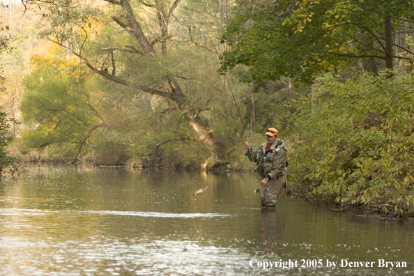 Flyfisherman fishing small stream.