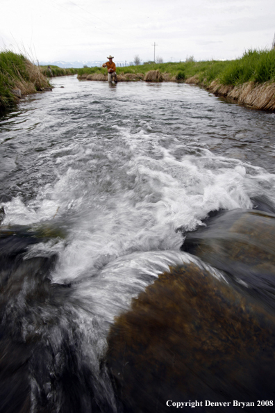 Flyfisherman fishing spring creek.