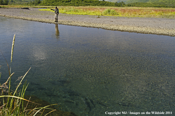 Flyfisherman on Kodiak Island, Alaska. 