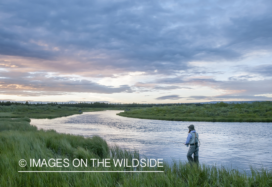 Flyfishing on South Fork Madison, Montana.