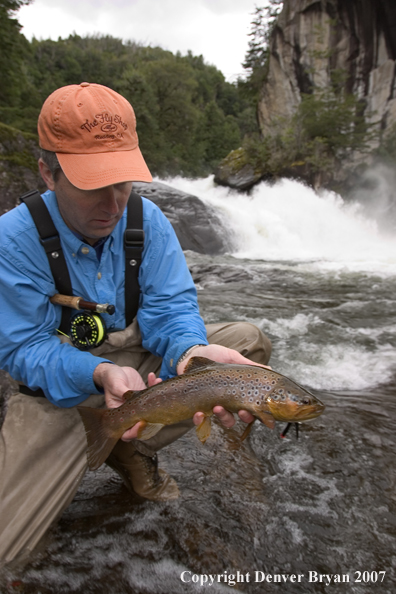 Flyfisherman holding brown trout.  Waterfall in background.