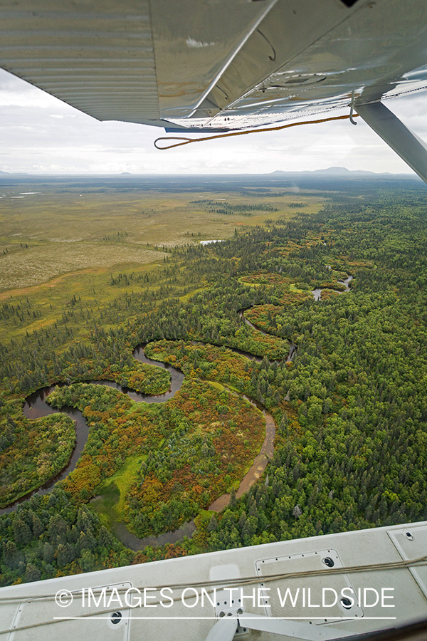 Aerial view of Nushagak river, Alaska.