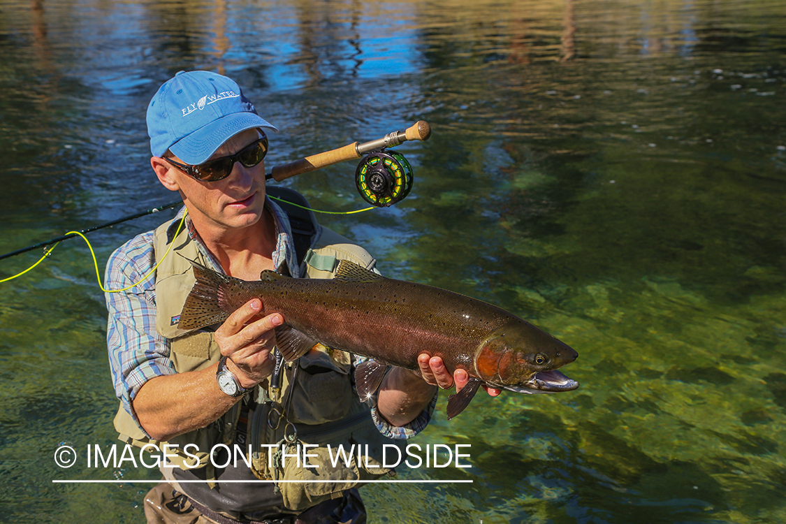 Steelhead fishing