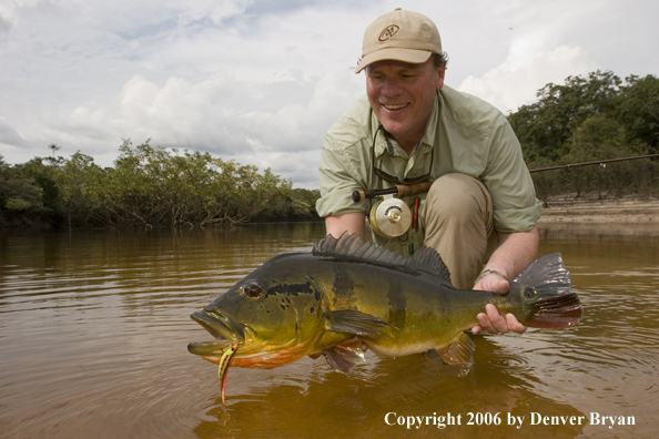 Fisherman holding Peacock Bass