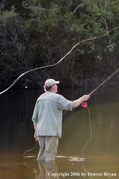 Peacock Bass fishing.