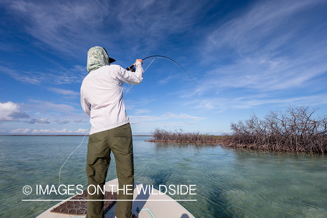 Flyfisherman fighting bonefish.