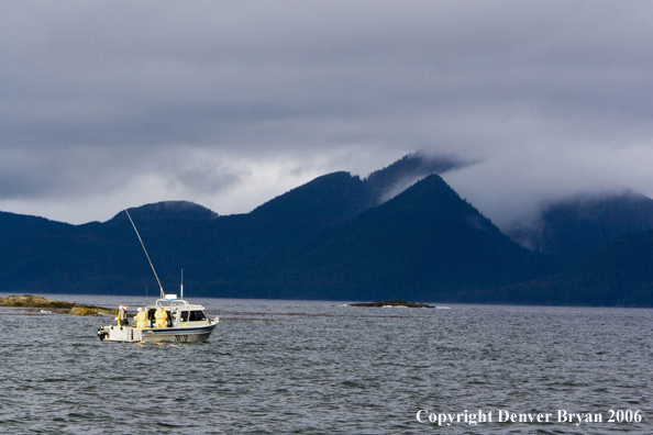 Fishermen fishing for salmon and halibut.  (Alaska/Canada)