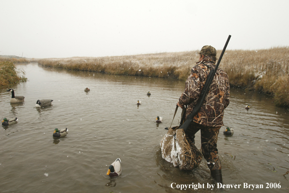 Duck hunting in winter