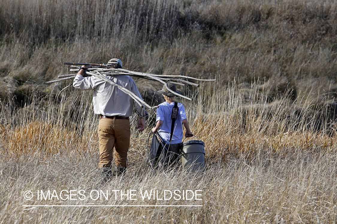 Father and son waterfowl hunters building blind.