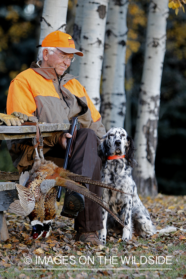 Hunter with English Setter in autumn.