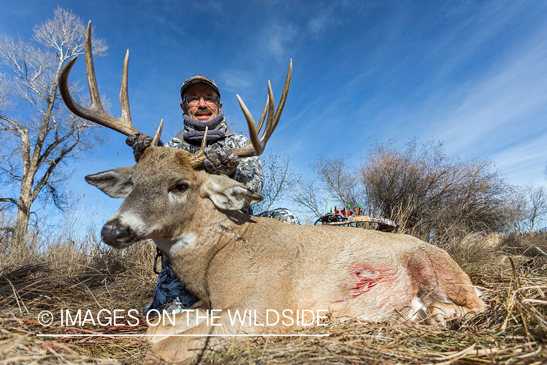 Bowhunter with bagged white-tailed buck. 