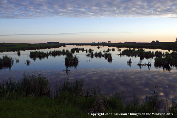 Sunset on wetlands