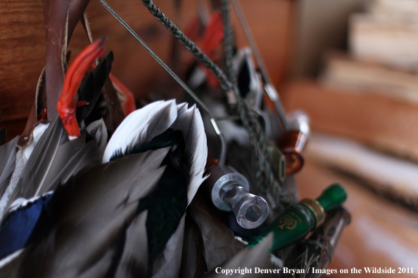 Bagged mallards hanging with duck calls. 