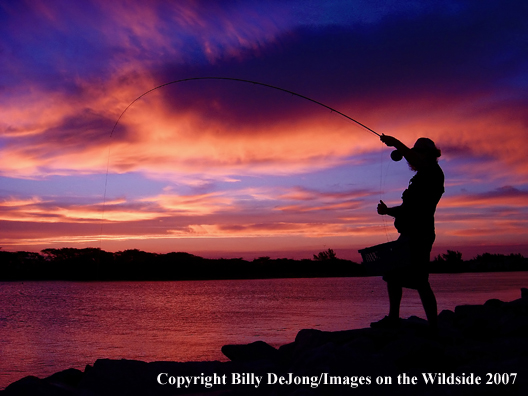 Flyfisherman fishing as sunsets                            