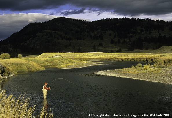 Freshwater Flyfishing