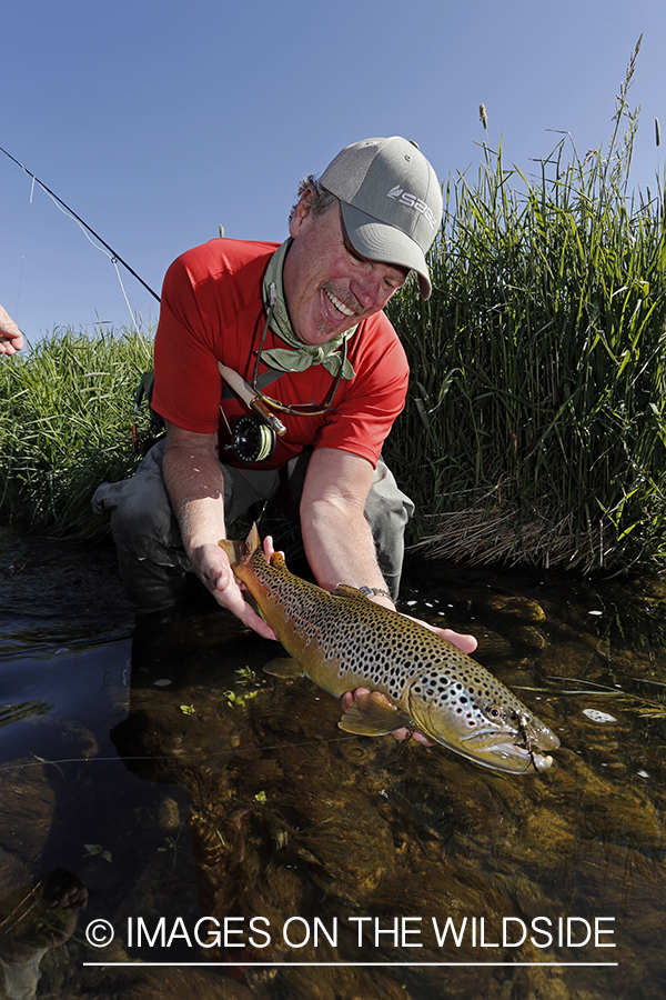 Flyfisherman with brown trout. 