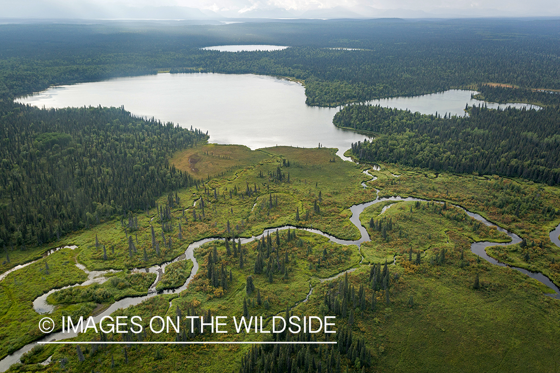 Aerial view of Nushagak river, Alaska.