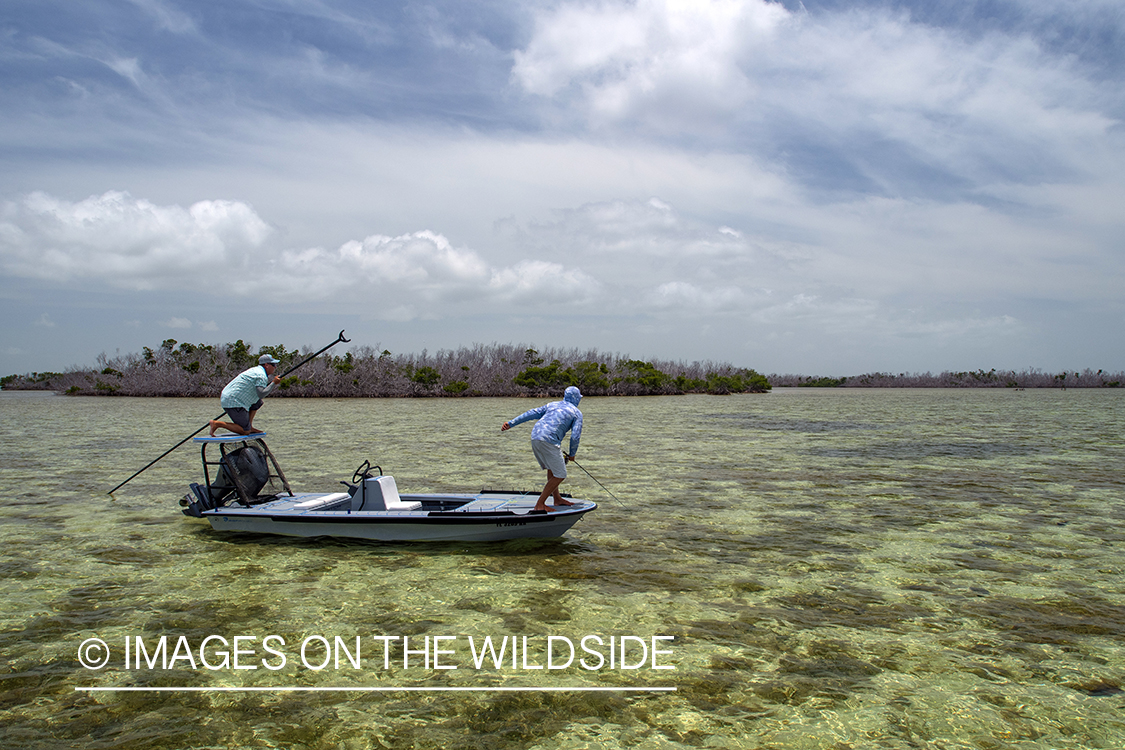 Flyfisherman casting to bonefish.