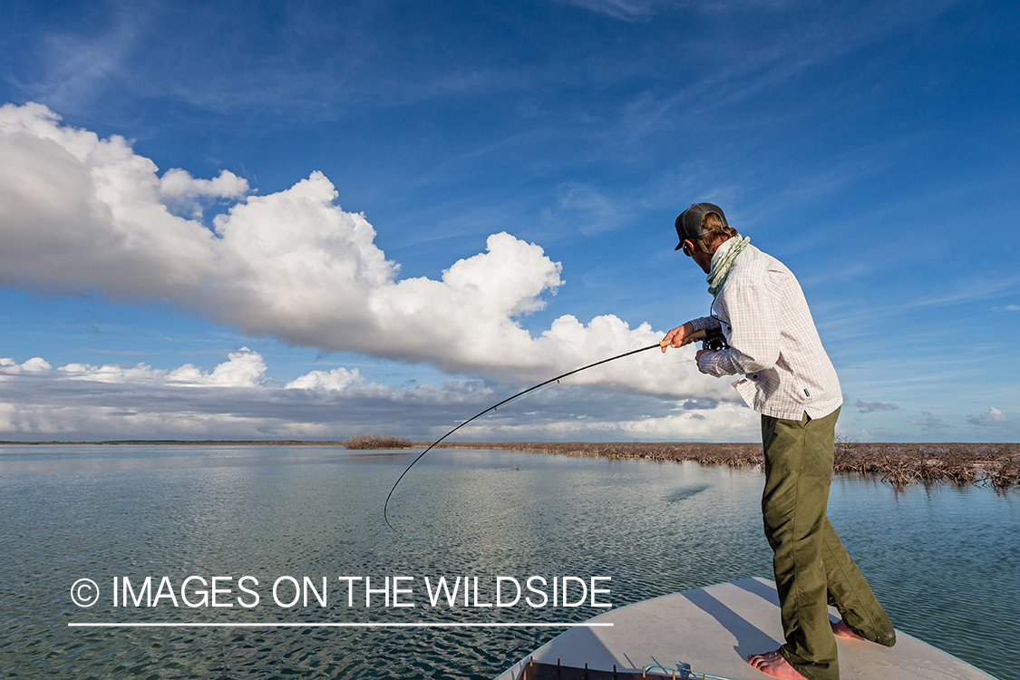 Flyfisherman fighting bonefish.