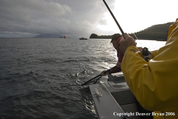 Fishermen getting help netting a fish on the line.  (Alaska/Canada)