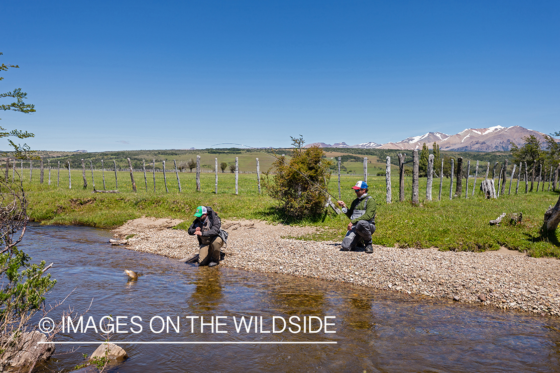 Flyfisherman fighting trout.