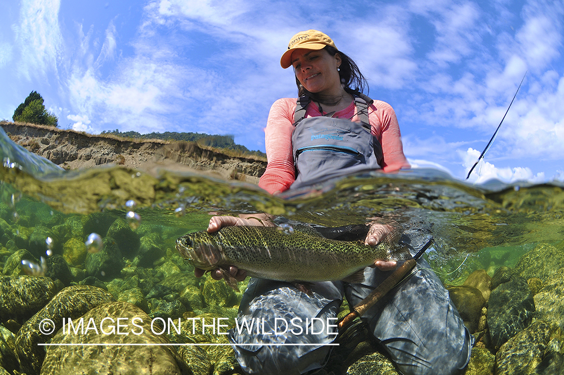 Flyfishing woman with rainbow trout.