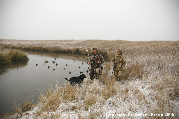 Duck hunting in winter