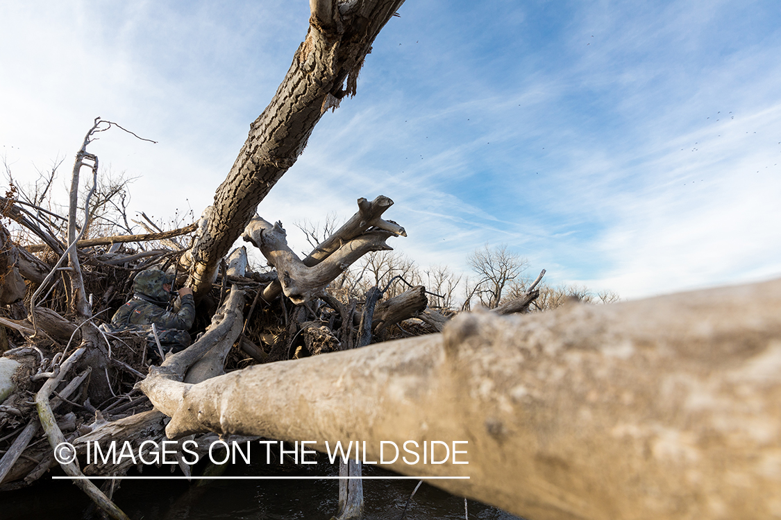 Waterfowl hunting