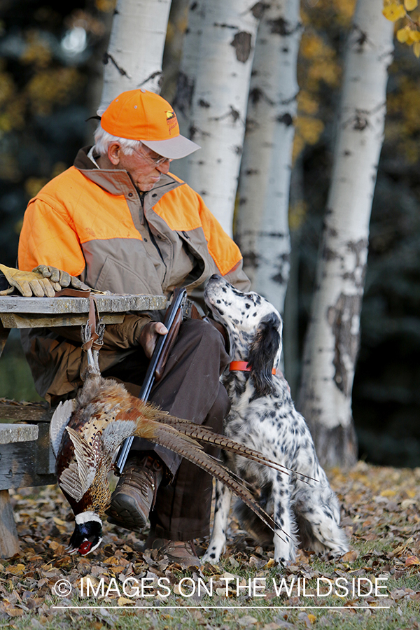 Hunter with English Setter in autumn.