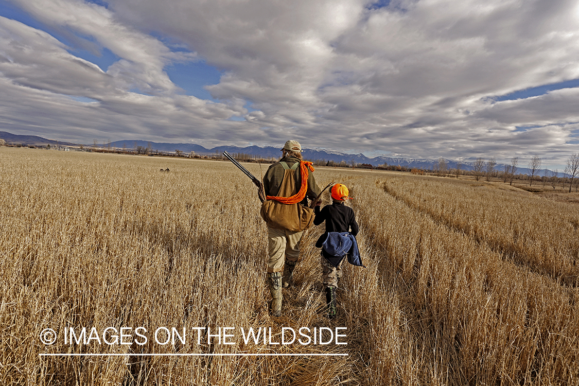 Father and son pheasant hunting. 