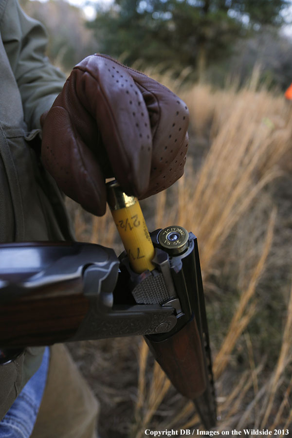 Bobwhite quail hunter reloading.