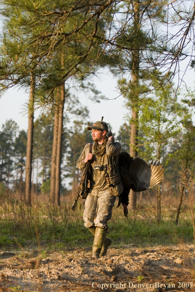 Turkey hunter in field with bagged bird