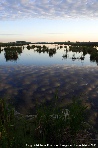 Sunset on wetlands