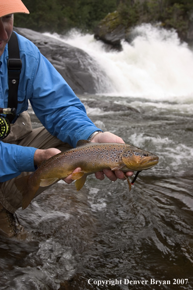 Flyfisherman holding brown trout.  Waterfall in background.