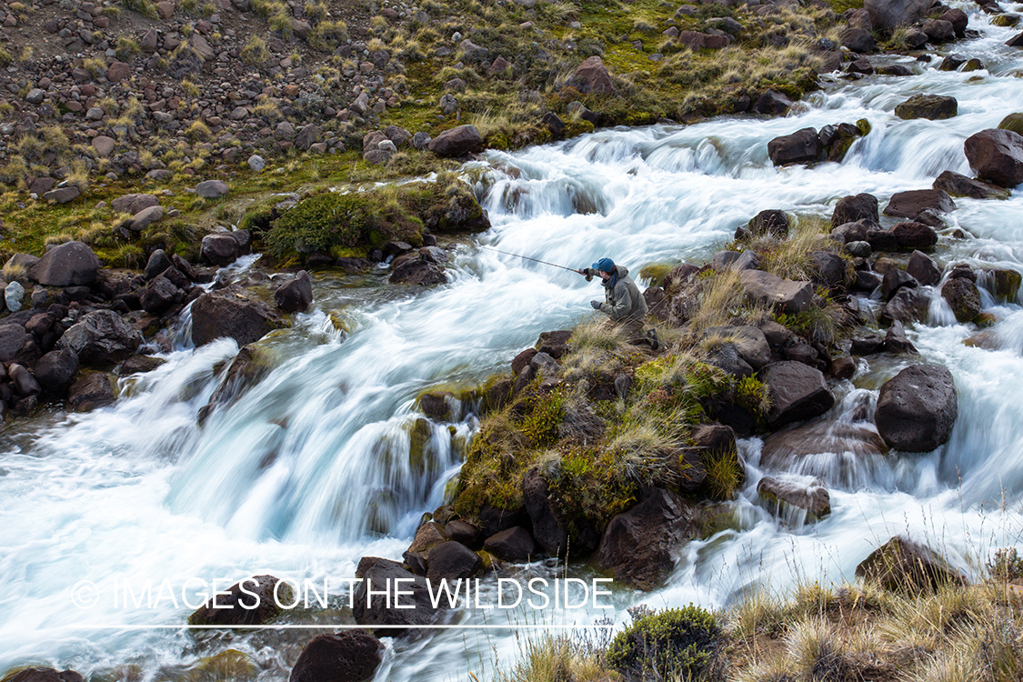 Flyfisherman casting on small river in Argentina.